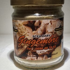 GINGEMBRE POUDRE 100 GR 100% NATUREL variété CREOLE