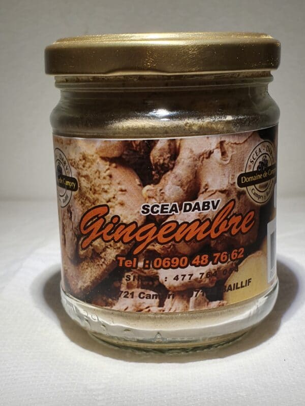 GINGEMBRE POUDRE 100 GR 100% NATUREL variété CREOLE