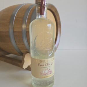 PUNCH CITRON VERT LONGUETEAU 100 CL 25°