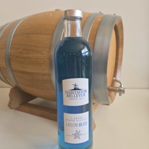 LIQUEUR BELLEVUE MENTHE GLACIALE 70 CL 21° LAGON BLEU