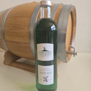 LIQUEUR BELLEVUE MENTHE VERTE 70 CL 25° LAGON VERT